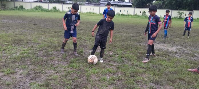 52f3e9c2-3ba5-4441-81c8-d846f857e823