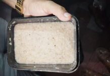 अशोकनगर छात्रावास में लापरवाही दलिया में इल्लियां, आटे में कीड़े छात्राओं ने दी शिकायत