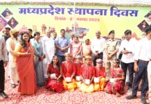 मंत्री बोले- देश के विकास की पहचान बना मध्यप्रदेश:सीहोर में धूमधाम से मनाया गया स्थापना दिवस, लोकतंत्र सेनानियों के परिजनों का सम्मान