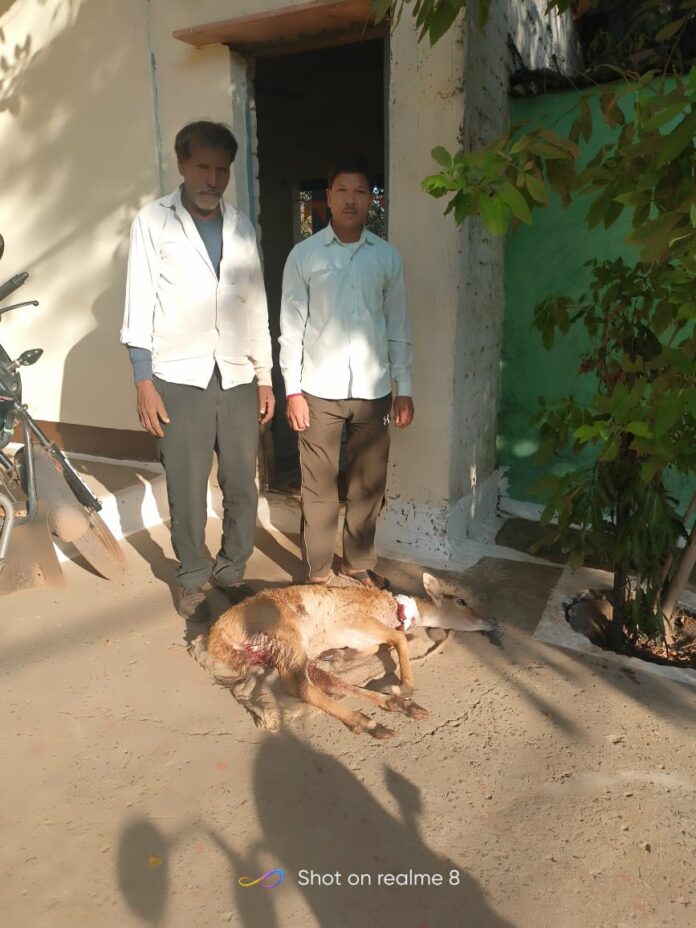 WhatsApp Image 2025-12-11 at 13.58.00