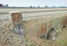 रायसेन–राहतगढ़ सड़क निर्माण में लापरवाही के आरोप: पुरानी पुलियों पर रंग-रोगन कर नया दिखाने का दावा