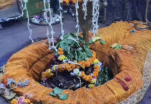 छत्तीसगढ़ के प्रमुख शिवालयों से अपडेट्स