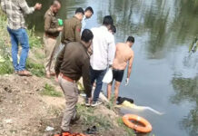 सीहोर: भेरूंदा की अंबर नदी में मिला अज्ञात युवती का शव, इलाके में सनसनी