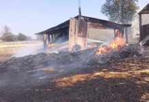 सीहोर: बिजली की चिंगारी ने बरपाया कहर, चार एकड़ गेहूं की फसल जलकर राख