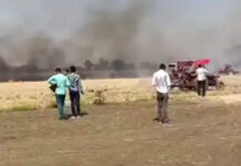 सीहोर: गर्मी का तांडव! खेतों में बरस रही आग, चांदबढ़ में गेहूं की खड़ी फसल जलकर खाक