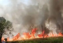 सीहोर: ‘किसान वर्ष’ में अंधकार! सिंचाई के लिए तरस रहे खेत, 10 की जगह मिल रही सिर्फ 3 घंटे बिजली