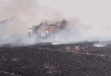 भेरूंदा: खेत की आग बुझाने गई फायर ब्रिगेड खुद बनी आग का शिकार, टायरों में लगी भीषण आग