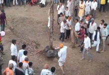 इछावर: 70 सालों से जारी है ‘डांडी-भंवरा’ की अद्भुत परंपरा, खंभे पर झूलकर भगवान खंडराय को प्रसन्न करते हैं ग्रामीण