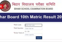 BREAKING NEWS: बिहार बोर्ड 10वीं का रिजल्ट जारी, 81.79% छात्र सफल; बेटियों ने फिर गाड़े झंडे, पुष्पांजलि और सबरीन बनीं स्टेट टॉपर