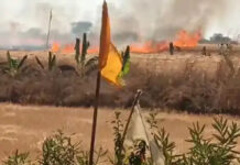 सीहोर: झागरिया रोड पर आग का तांडव, किसान की आँखों के सामने जलकर राख हुई गेहूं की खड़ी फसल