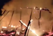 विदिशा: हरिपुरा खिरिया जागीर में देर रात टपरे में भड़की भीषण आग, ग्रामीणों ने बचाई 5 गायों की जान