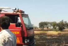 हरदा: 50 एकड़ में खड़ी गेहूं की फसल जलकर राख, छीपाबड़ में भीषण आग से किसानों के अरमानों पर फिरा पानी