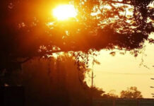 MP Weather Update: ओलों की ठंडक के बाद अब ‘तपेगा’ मध्य प्रदेश; आसमान साफ होते ही पारा 37°C के पार