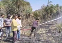 इछावर: बड़े कब्रिस्तान में लगी भीषण आग, 3 एकड़ तक फैली लपटें; किसानों और दमकल की मुस्तैदी से बची गेहूं की फसल