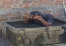 बैतूल: मधुमक्खियों के झुंड ने युवक पर किया जानलेवा हमला; जान बचाने के लिए होटल की पानी की टंकी में कूदा, लगाता रहा डुबकियां