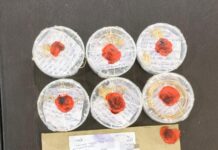 सीहोर पुलिस की बड़ी स्ट्राइक: नेहरू कॉलोनी की 8 लाख की चोरी का पर्दाफाश, मास्टरमाइंड सहित 4 आरोपी गिरफ्तार