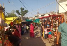 झरखेड़ा में मां हिंगलाज मेले की धूम: दशहरे पर उमड़ा जनसैलाब, जमकर हुई खरीदारी