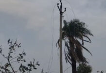 सीहोर: श्यामपुर में चोरों के हौसले बुलंद, 18 बिजली के खंभों से लाखों के तार चोरी