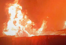 भोपाल में ‘अग्नि तांडव’: मनीषा मार्केट में सिलेंडर ब्लास्ट से खाक हुईं 6 दुकानें, CM हाउस के पीछे जंगल में भी भड़की आग