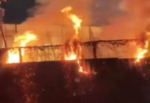 इंदौर: खंडवा रोड पर आग का तांडव; मैरिज गार्डन में आतिशबाजी से भड़की आग, गोशाला में झुलसे मवेशी