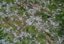 MP Weather Update: एमपी में कुदरत का कहर! सड़कों पर बिछी ओलों की सफेद चादर, आज फिर 27 जिलों में आंधी-बारिश का अलर्ट