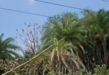 सीहोर: छुट्टी के दिन बिजली गुल, प्यासे रहे शहर के कई इलाके; नगर पालिका की गुहार अनसुनी, जनता में भारी आक्रोश