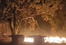 रायसेन: नरवाई की आग ने किसान को किया तबाह; सिंचाई पाइप और कृषि सामग्री खाक, 2 लाख का नुकसान