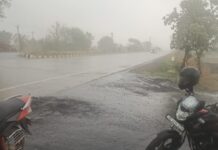 Weather Update: 19 рд░рд╛рдЬреНрдпреЛрдВ рдореЗрдВ рдкрд╣реБрдВрдЪрд╛ рдорд╛рдирд╕реВрди, рдЕрдЧрд▓реЗ 72 рдШрдВрдЯреЗ рдореЗрдВ MP рдореЗрдВ рдПрдВрдЯреНрд░реА; рдпреВрдкреА-рдмрд┐рд╣рд╛рд░ рд╕рдореЗрдд 20 рд╕реЗ рдЬреНрдпрд╛рджрд╛ рд░рд╛рдЬреНрдпреЛрдВ рдореЗрдВ рдЖрдЬ рдмрд╛рд░рд┐рд╢ рдХрд╛ рдЕрд▓рд░реНрдЯ