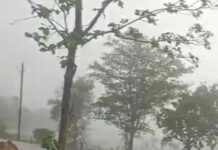 सीहोर में मानसून को लेकर प्रशासन अलर्ट: 24 घंटे एक्टिव रहेगा हाई-टेक बाढ़ नियंत्रण कक्ष, जारी हुआ हेल्पलाइन नंबर