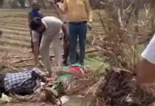 सीहोर में शर्मनाक वारदात: गणेश मंदिर के पास रास्ते के विवाद में खूनी संघर्ष, बुजुर्ग महिला को घसीटा; लाठी-डंडों से मारपीट का वीडियो वायरल