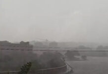 MP Weather Update: प्री-मानसून की आंधी-बारिश से कांपा मध्य प्रदेश, 70km/h की रफ्तार से चली हवाएं; जानें कब आएगा मानसून