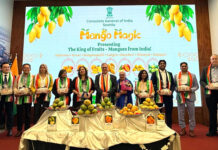 वाशिंगटन में बिखरा भारतीय आमों का जलवा: ड्यूपॉन्ट सर्कल पर उमड़ी सैकड़ों अमेरिकियों की भीड़; अल्फोंसो और केसर के मुरीद हुए लोग