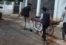 गुना में खूनी वारदात: बाइक का एक्सीलरेटर तेज करने पर मामूली विवाद, 12वीं के छात्र की चाकू मारकर निर्मम हत्या; आरोपी फरार