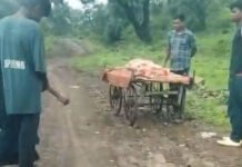 कीचड़ में फंसा शव वाहन, ठेले पर निकली मासूम की अंतिम यात्रा: जबलपुर की तस्वीर ने विकास के दावों पर उठाए सवाल