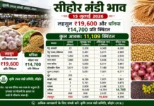 सीहोर मंडी भाव 15 जुलाई 2026: लहसुन ₹19,600 और धनिया ₹14,700 प्रति क्विंटल, 11,109 क्विंटल उपज की आवक