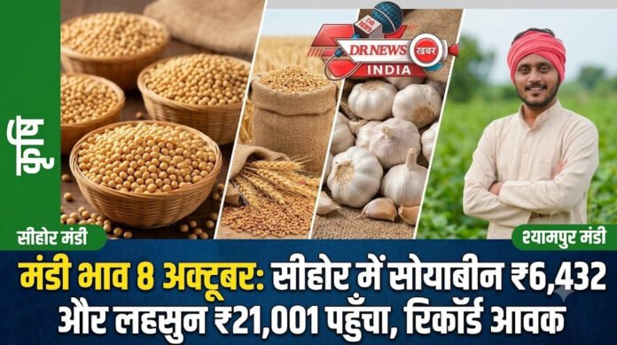 मंडी भाव 8 अक्टूबर सीहोर श्यामपुर सोयाबीन लहसुन दैनिक आवक पत्रक मंडी भाव 8 अक्टूबर सीहोर श्यामपुर सोयाबीन लहसुन दैनिक आवक पत्रक