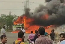 इंदौर के पास बड़ा हादसा: रीवा से आ रही ‘जय अंबे ट्रेवल्स’ की बस में लगी भीषण आग; टायर फटने के बाद धू-धू कर जली गाड़ी, सूझबूझ से बची यात्रियों की जान