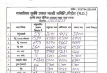 सीहोर मंडी भाव: आज लहसुन ने मारी लंबी छलांग, ₹18,300 तक पहुंचे दाम; पीला सोयाबीन भी ₹7,000 प्रति क्विंटल पार, देखें पूरी लिस्ट