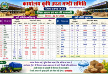 मंडी भाव (22 जुलाई 2026): सीहोर, कुरावर, पचोर और नरसिंहगढ़ में सोयाबीन और लहसुन में दिखी तेजी, देखें सभी प्रमुख भाव