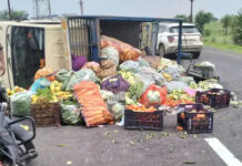 राजगढ़ में NH-52 पर बड़ा हादसा: टायर फटने से अनियंत्रित होकर पलटी सब्जियों से भरी पिकअप; हाईवे पर बिखरीं सब्जियां, दो युवक घायल