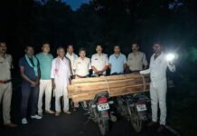 सीहोर: भेरूंदा में वन विभाग की बड़ी कार्रवाई, सिराड़ी घाट से सागौन की लकड़ी और 2 बिना नंबर की बाइक जब्त