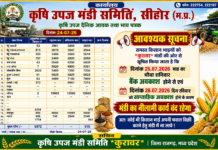 सोयाबीन 7,292 और धनिया 15,500 प्रति क्विंटल तक, मंडी में 5,972 क्विंटल उपज की आवक