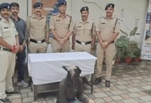 ट्रेन में झाड़ू लगाता था, नजर बचते ही उड़ाता था लाखों का सामान; 3 लाख का मंगलसूत्र लेकर बाथरूम में फेंक देता था पर्स