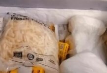इंदौर में Bigbasket, Social और Heydeli Pizza के लाइसेंस सस्पेंड: कॉकरोच, वेज-नॉनवेज मिक्सिंग और गंदगी पर प्रशासन की बड़ी कार्रवाई