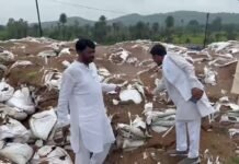 बारिश में सड़ रही 50 ट्रक धान, जिम्मेदार कौन? विधायक ने किया ओपन कैंप का निरीक्षण