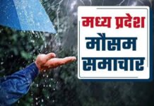 MP Weather Update: 6 अगस्त से फिर सक्रिय होगा मानसून, कई जिलों में भारी बारिश के आसार; अब तक प्रदेश में 16% कम वर्षा