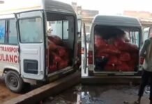 एंबुलेंस में मरीज नहीं, प्याज की बोरियां! पोरसा मंडी का VIDEO वायरल