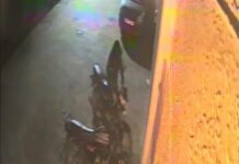 सीहोर: बुधनी की अदालत कॉलोनी से देर रात बाइक चोरी; CCTV कैमरे में कैद हुए दो संदिग्ध, पुलिस जांच में जुटी