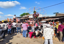देवनारायण जन्मोत्सव पर निकली भव्य ध्वज यात्रा, जगह-जगह हुआ स्वागत