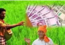 FCV तंबाकू किसानों को बड़ी राहत, हर बार्न पर मिलेगा 50 हजार रुपये का ब्याज-मुक्त कर्ज, जानिए आवेदन का तरीका